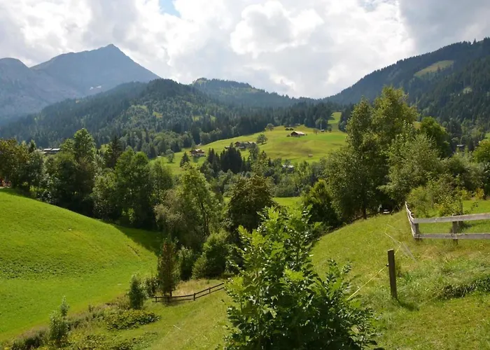 Marmotte- By Interhome Lauenen